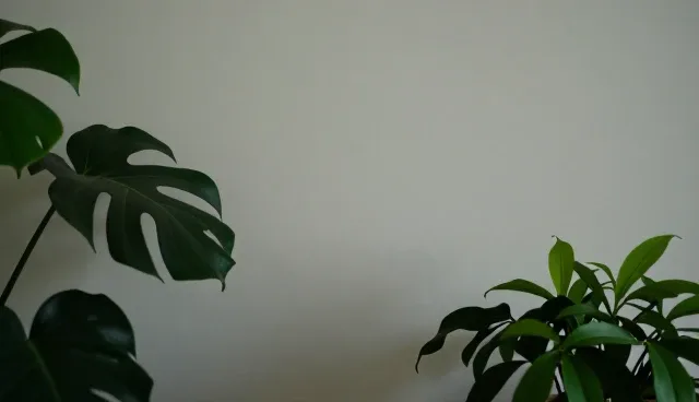用户体验对日用百货批发销售的影响分析